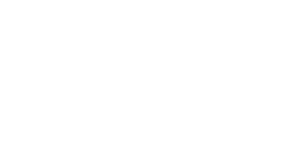 IBMR